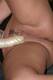 vibro